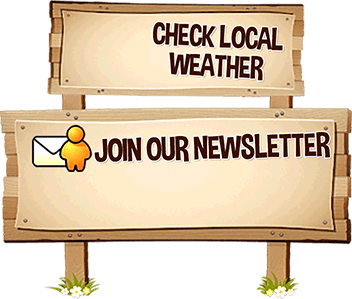 Check Local Weather / Join our newsletter